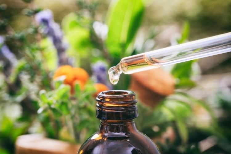 5876b856b6d01.jpg %name Conoce estos 8 remedios naturales para mejorar tu digestión