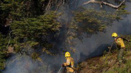 incendio Los incendios en el Bolsón no cesa.