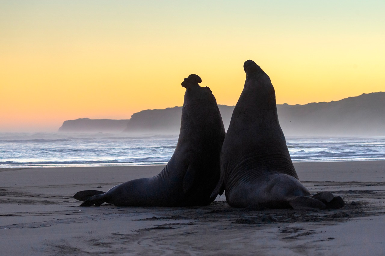 WhatsApp Image 2021 12 13 at 15.35.34 WhatsApp Image 2021 12 13 at 15.35.34