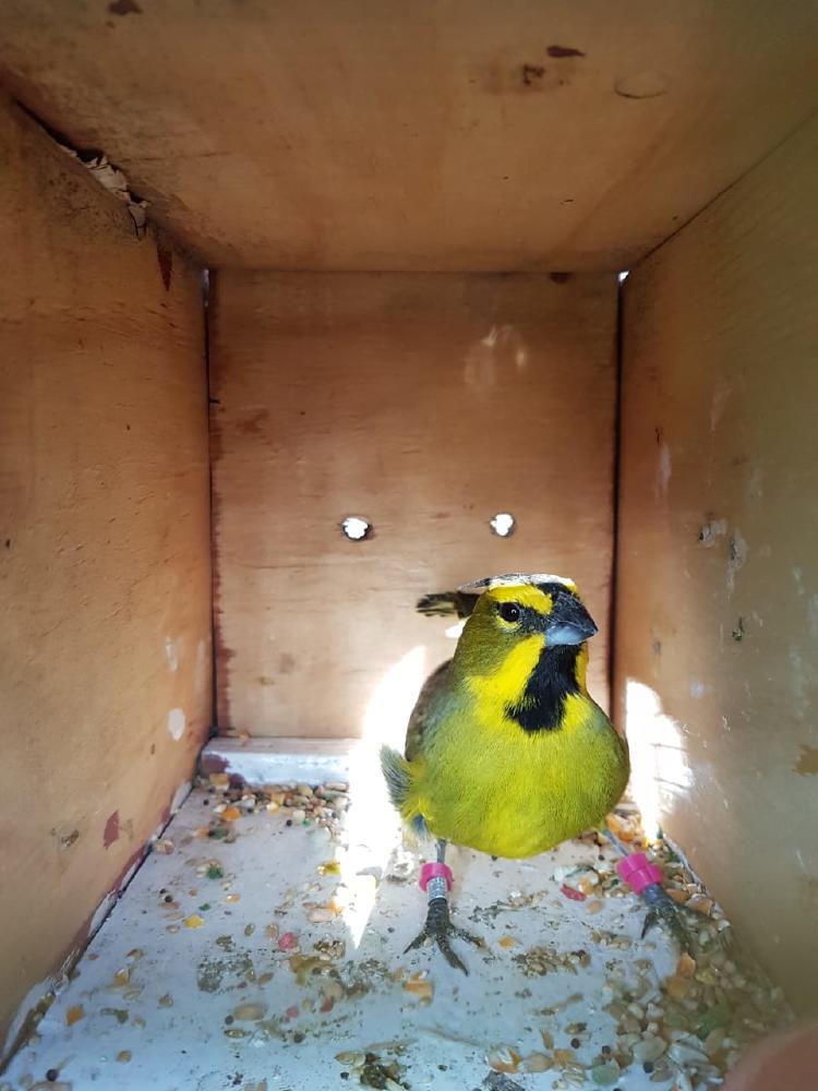 IMG 20220930 WA0036 IMG 20220930 WA0036