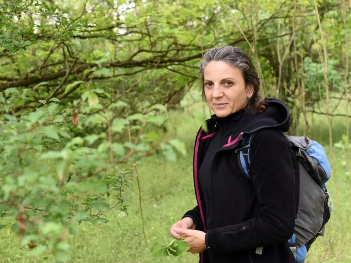 20191218_070542119_bae191219 024f01 20191218_070542119_bae191219 024f01