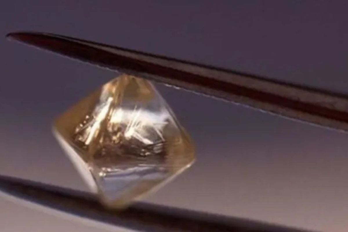 Créditos de imagen: Especial