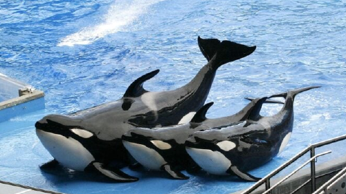 f.elconfidencial.com_original_bc2_d51_e3d_bc2d51e3dafcf07e0e35523d370c1cb0 750x375 f.elconfidencial.com_original_bc2_d51_e3d_bc2d51e3dafcf07e0e35523d370c1cb0 750x375