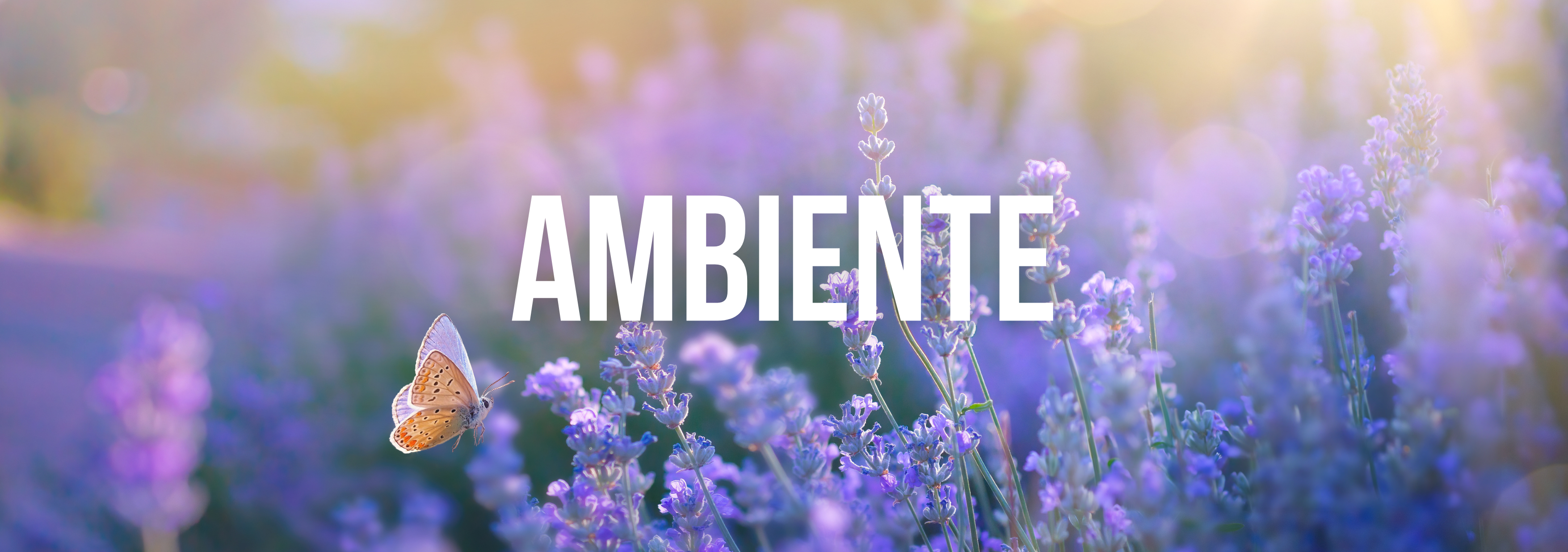 ambiente (1)