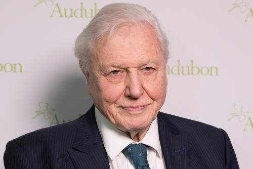 David Attenborough David Attenborough