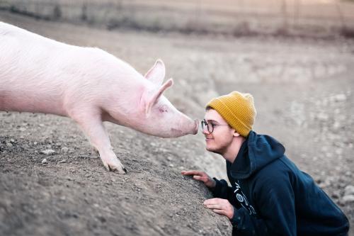 Nueva legislación en el Reino Unido busca reconocer a los animales como seres sensitivos