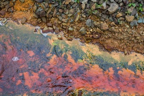 que es eutrofizacion que es eutrofizacion