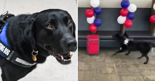 Collage portadas notas(17) Collage portadas notas(17)