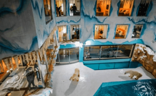 ¡Repudiable! Inauguran hotel en China que exhibe osos polares para entr