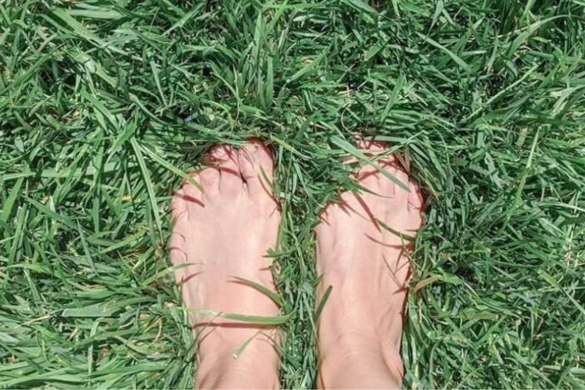 pies con pasto Imagen: Pinterest