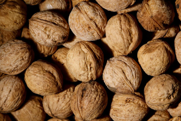 nueces 2 pexels nueces 2 pexels