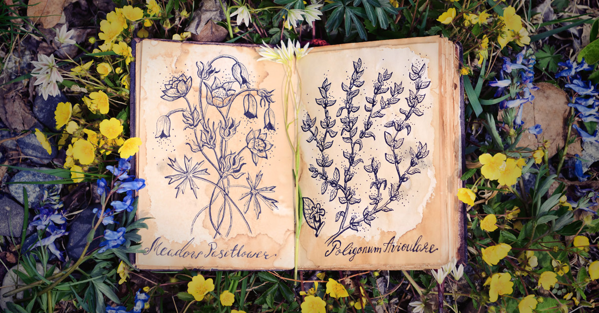 lenguaje secreto perdido lenguaje secreto perdido