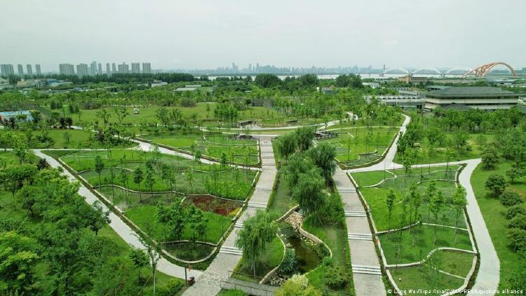 Ciudades esponjas Las \"ciudades esponja\" se apoyan en vías fluviales naturales que serpentean y frenan el agua.