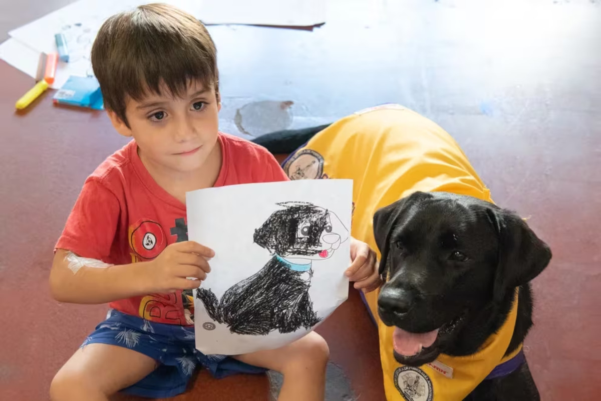 terapia niños perros terapia niños perros