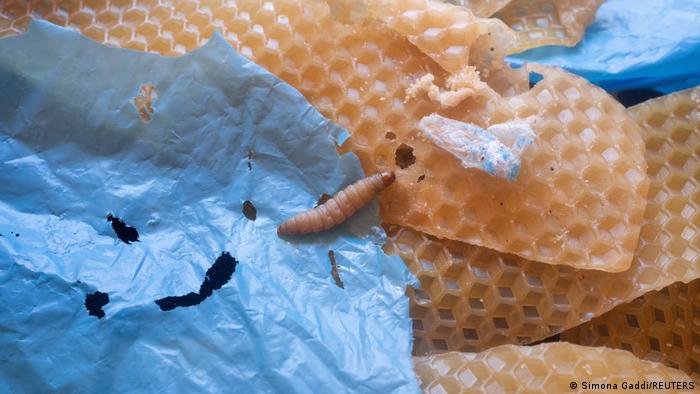 63341097_303 63341097_303