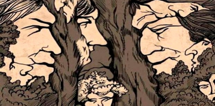 image (11) image (11)