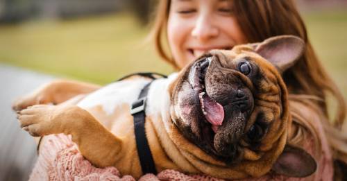Estos son los 10 animales más famosos de Instagram