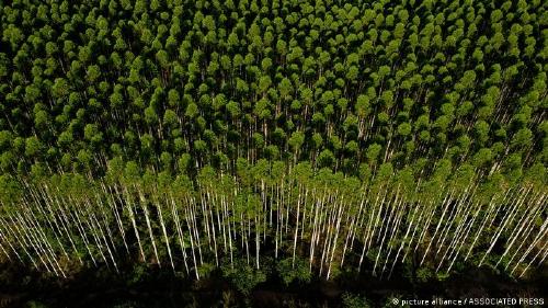 67676471_303 67676471_303