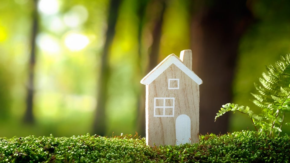 casa bosque casa bosque