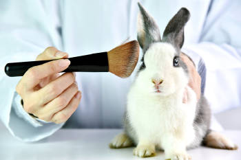 experimento prueba cosmeticos animales