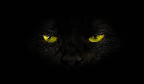 Viernes 13: Por qué somos supersticiosos (la explicación neurocientífica)