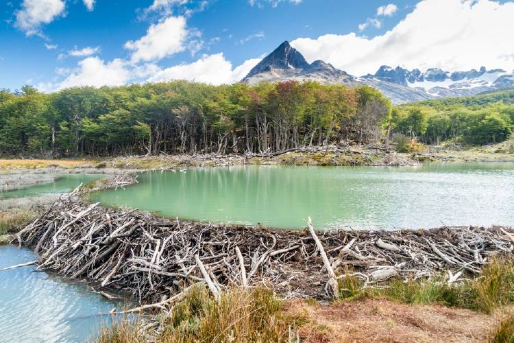 represa castor represa castor