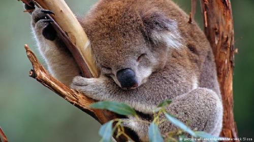 41944131_303 41944131_303