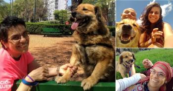 Adopción perrito