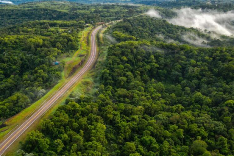 nideport Nideport es una compañía fundada por argentinos crea la mejor plataforma digital para recuperación de bosques basada en Inteligencia Artificial.