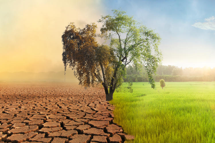 cambio climático filosofía ambiental