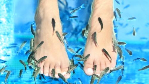 editorialtelevisa.brightspotcdn editorialtelevisa.brightspotcdn