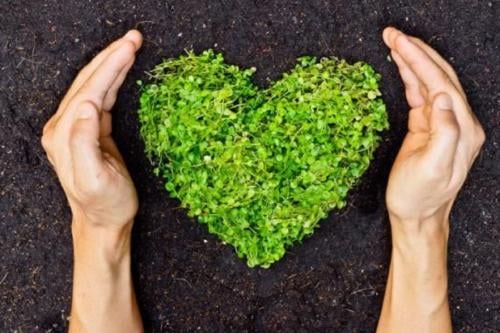 Día Mundial del Suelo: ¿por qué se celebra el 5 de diciembre? (Foto: Pinterest) Día Mundial del Suelo: ¿por qué se celebra el 5 de diciembre? (Foto: Pinterest)