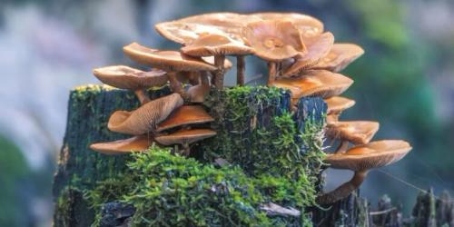 SITE 30 jun 750x375 SITE 30 jun 750x375