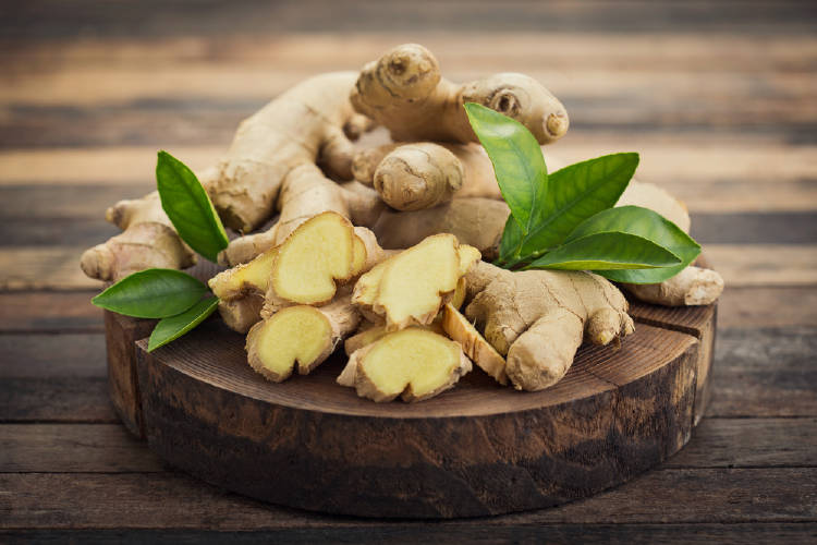 Ginger ideally, should be in a warm and humid environment.