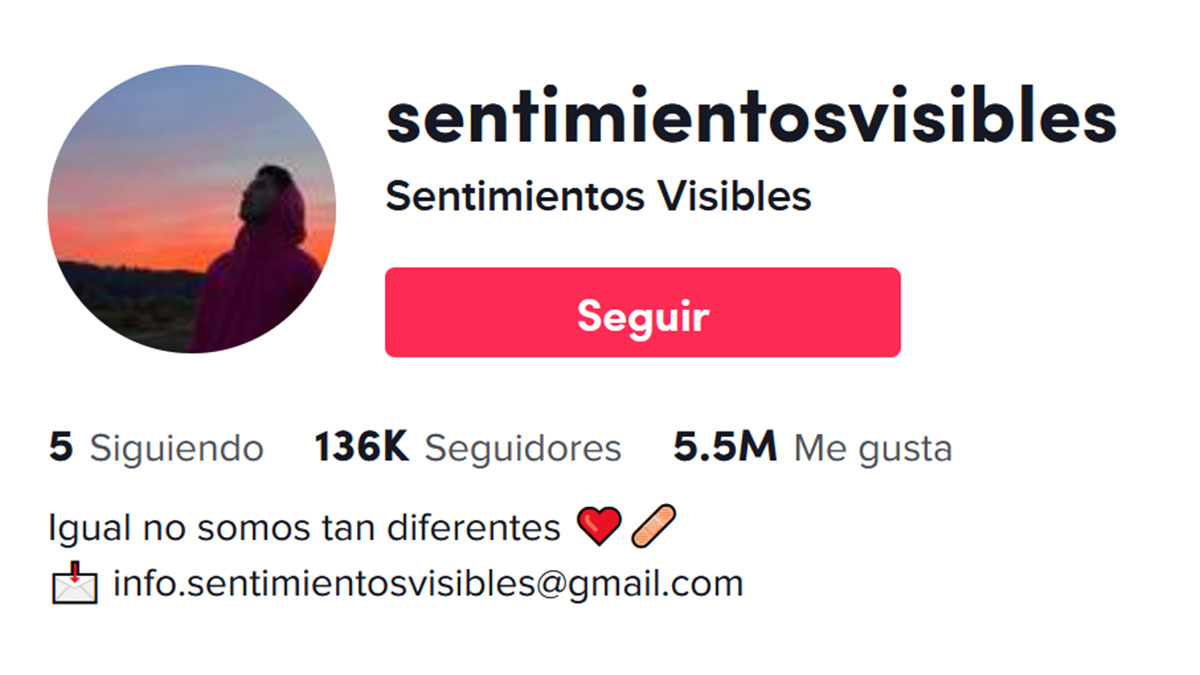 tiktok sentimientos2 tiktok sentimientos2