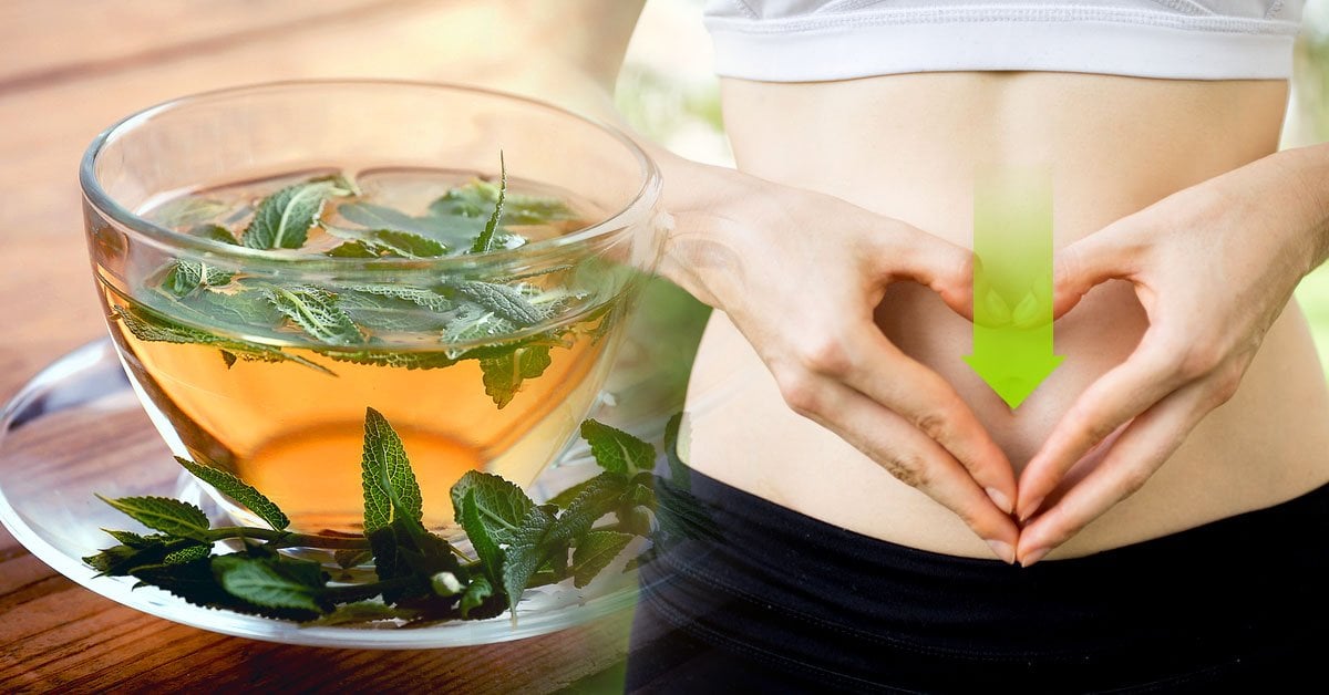 infusion salvia abdomen chato digestion Conoce los beneficios y las propiedades que posee la salvia