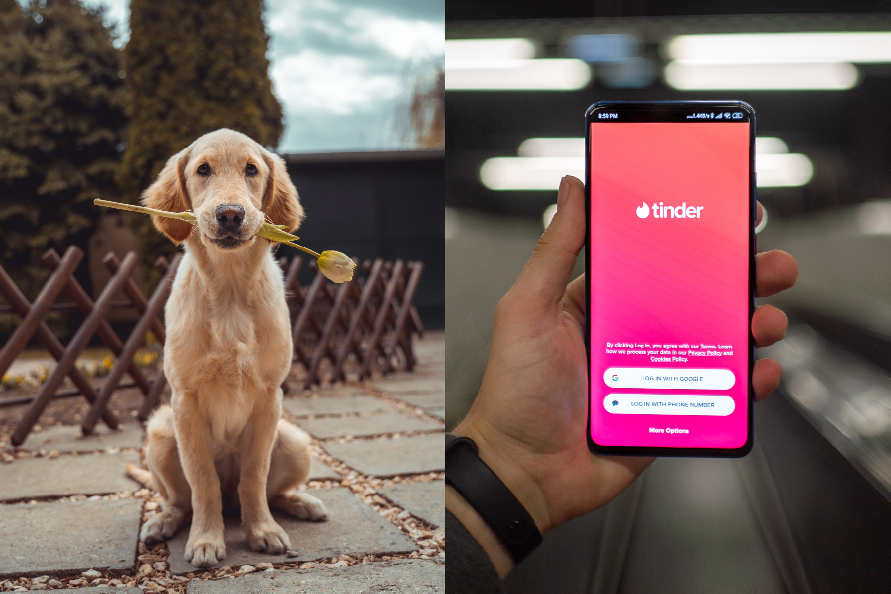 mascptas tinder mascptas tinder