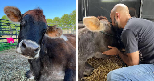 ca0c645ab28fd912d28b997228 ca0c645ab28fd912d28b997228