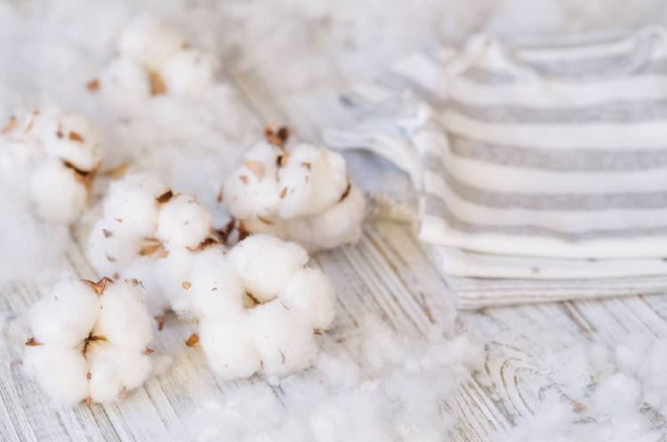 Los beneficios de la ropa sustentable Los beneficios de la ropa sustentable