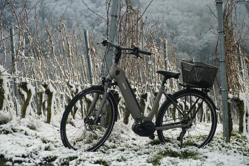 Bicicleta electrica