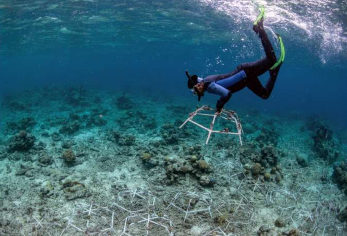 arrecifes_2 arrecifes_2