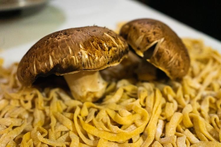 Portobello hongos: propiedades y beneficios de un superalimento