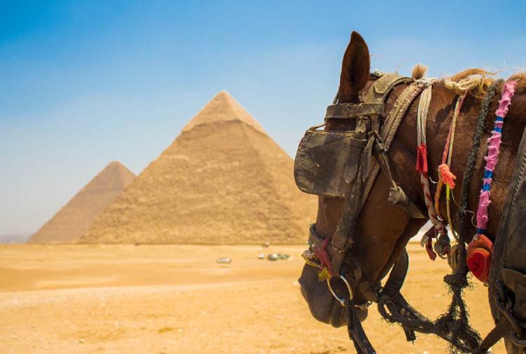 007 caballo piramide