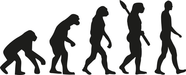 evolución Evolución