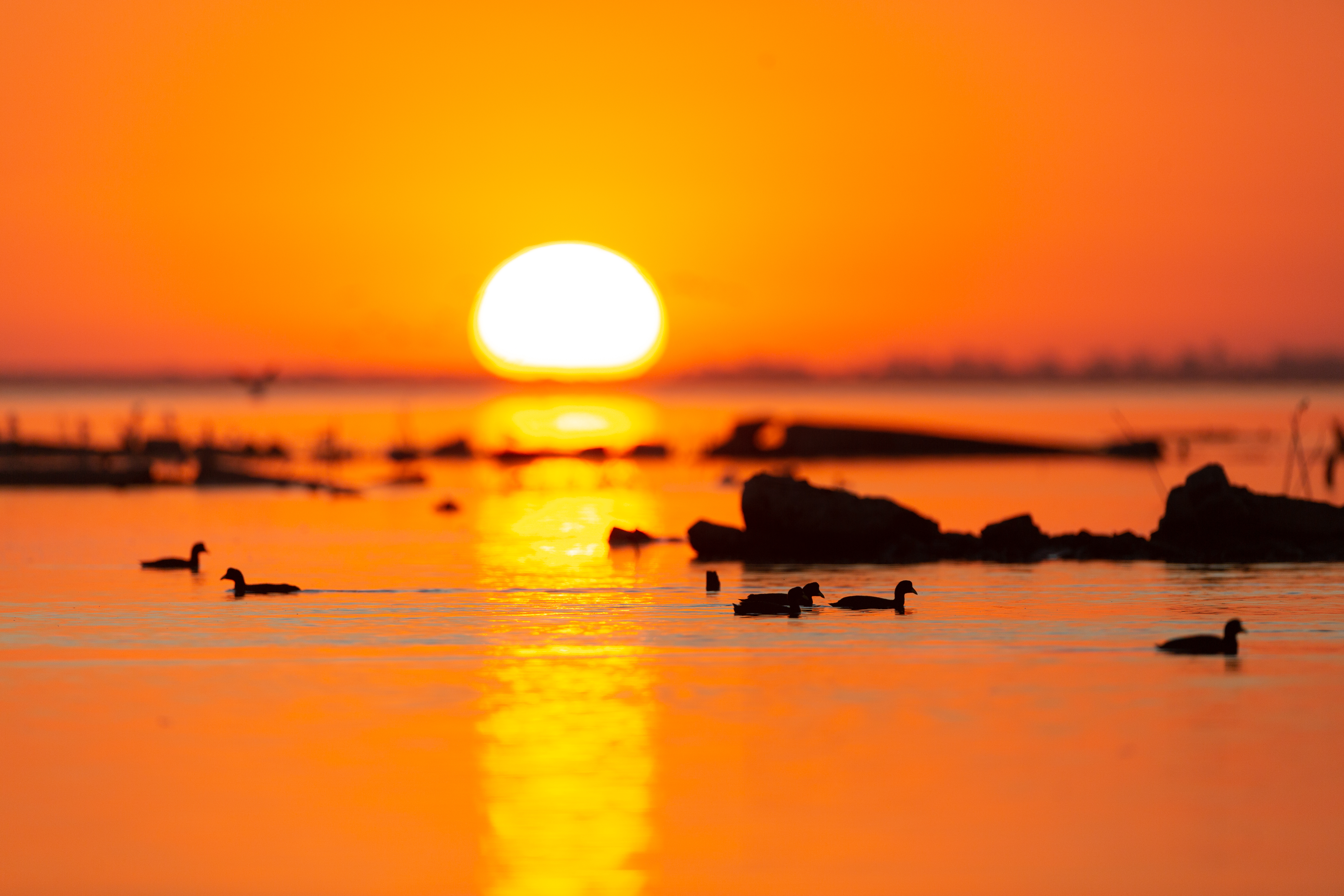 shutterstock_1670466835 shutterstock_1670466835