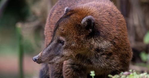 Desafíos ambientales para LATAM este 2023 Desafíos ambientales para LATAM este 2023