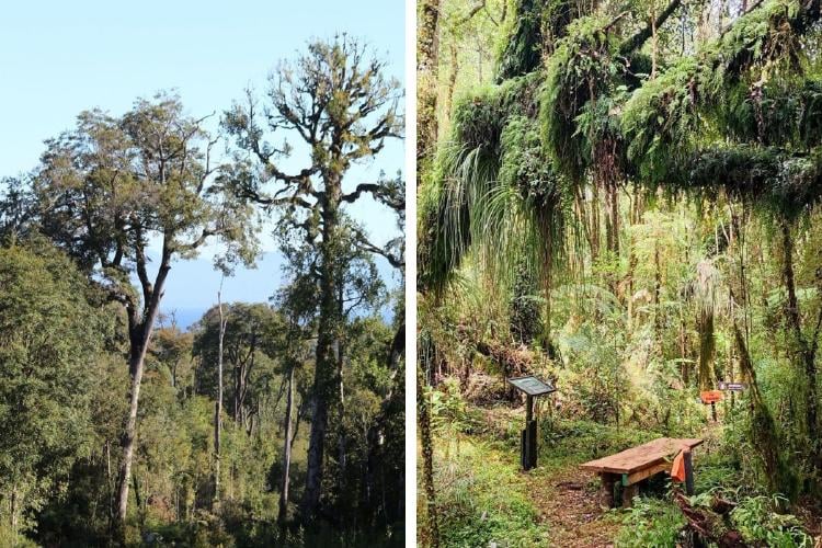 Reserva Fundo Chenue Reserva Fundo Chenue