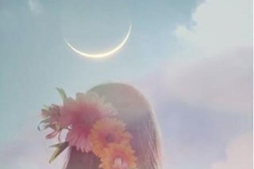 Diseño sin título 2024 10 21T201545.009 Diseño sin título 2024 10 21T201545.009