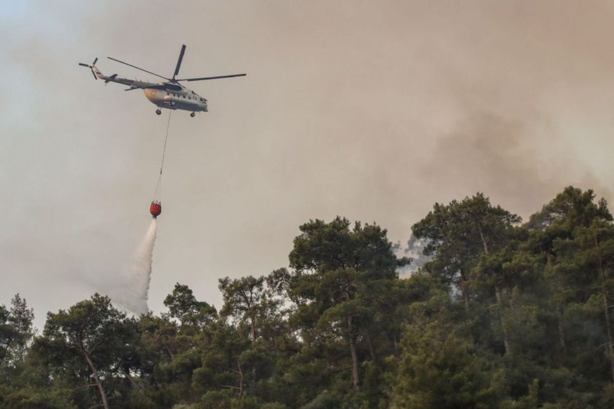 El calentamiento global está provocando olas de calor más intensas y frecuentes, especialmente en regiones mediterráneas como Turquía. (elperiodico.com)