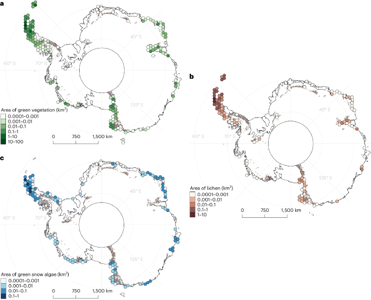 Mapa Antártida verde Mapa Antártida verde